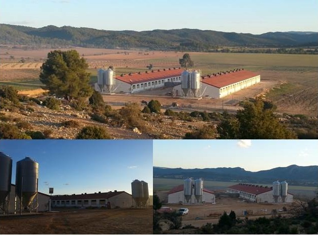 Finalizada la granja porcina en la Ginebrosa (Teruel)